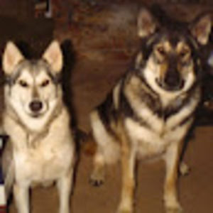 Meet your Posher, Janeane